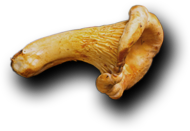 Karel - Tadı Damakta