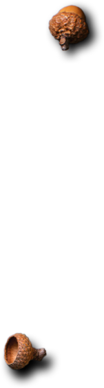 Karel - Tadı Damakta