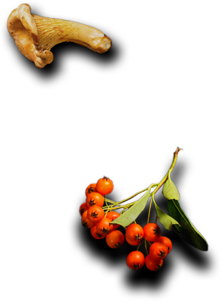 Karel - Tadı Damakta